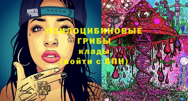 ПСИЛОЦИБИНОВЫЕ ГРИБЫ Абдулино