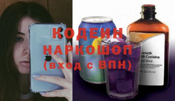 сатива Покачи