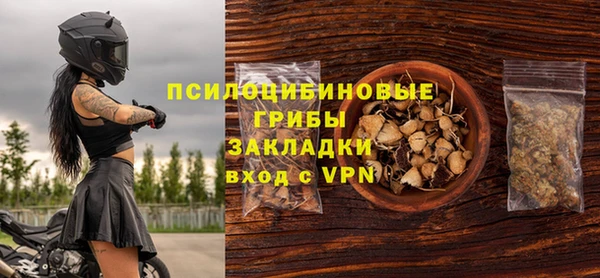 дживик Абаза