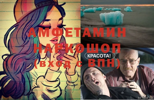 крисы Алексин