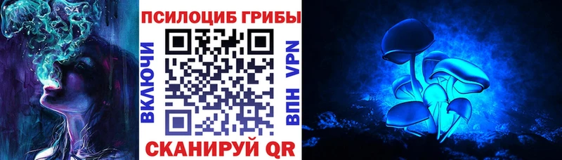 Галлюциногенные грибы мухоморы  что такое наркотик  Кадников 
